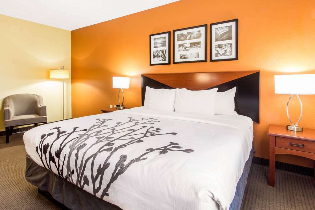 Comfort Inn & Suites Wildwood - The Villages Camera foto